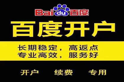 SEM竞价优化实战经验分享：成功案例背后的秘密